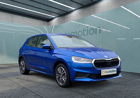 Skoda Fabia Tour 1.0 TSI 5-Gang LED Navi ACC Rückfahrkam. PDCv+h LED-hinten