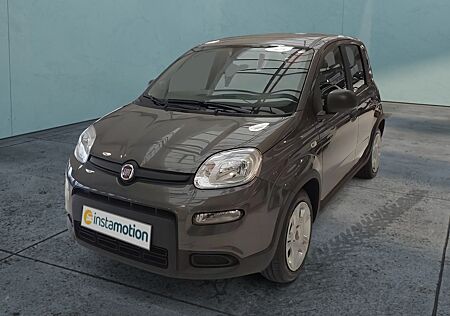 Fiat Panda 1.0 GSE Tech-und Flex-Light-Paket