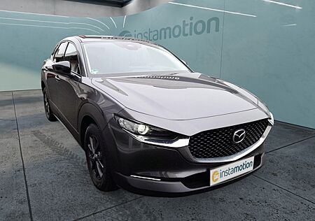 Mazda CX-30 2.5L e-SKYACTIV G 6AT FWD Homura