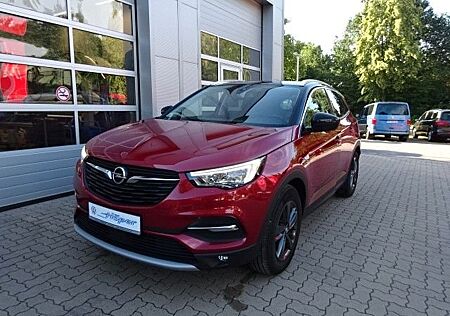 Opel Grandland X + AHK + Kamera + Temp + LED Schein