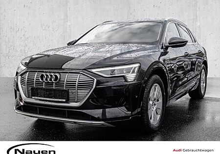 Audi e-tron 55 quattro AHK*ACC*MATRIX*PDC*