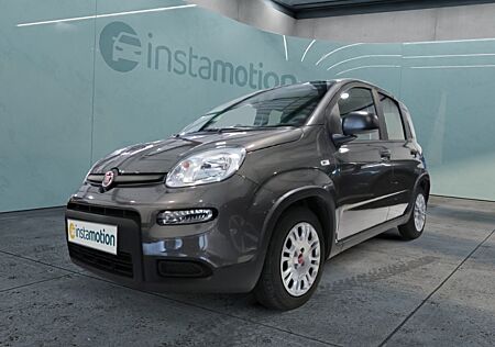 Fiat Panda Base 1.0 Mild Hybrid GSE Klima Bluetooth