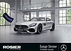 Mercedes-Benz AMG GT Performance 20"