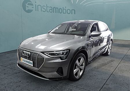 Audi e-tron 50 Q ADVANCED AHK KAMERA LED LM20