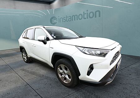 Toyota RAV 4 RAV4 2.5 VVT-i Hybrid 218 CVT LED PDC Kam LM17Z