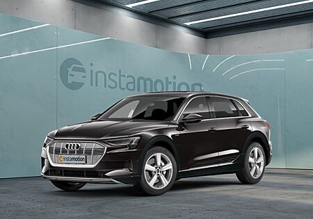 Audi e-tron 55 quattro advanced, LED, AHK, Pano, ACC, Leder, Virtual, RFK, Luft, 20