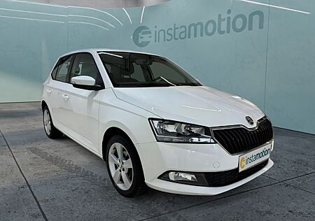 Skoda Fabia Cool Plus 1.0 MPI Klima PDC Freisprech ZV