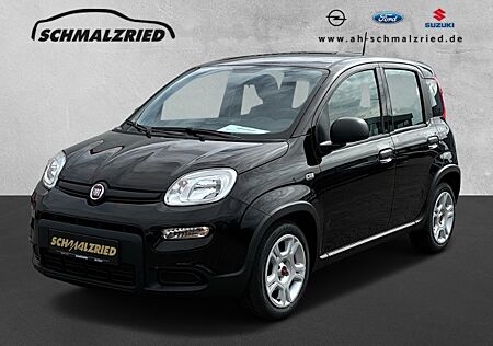 Fiat Panda Base 1.0 Mild Hybrid DAB Klima Freisprech BT teilb.Rücksb eFH Tagfahrlicht RDC