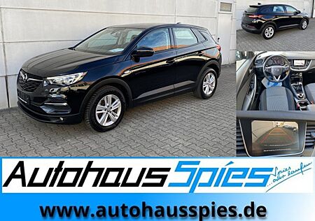 Opel Grandland X 1.2 Turbo Edition RKam TotwAss CarPlay Tmat Alu17 EU6d-T