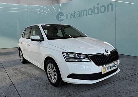 Skoda Fabia Active 1.0 MPI Freisprech PDC Klima