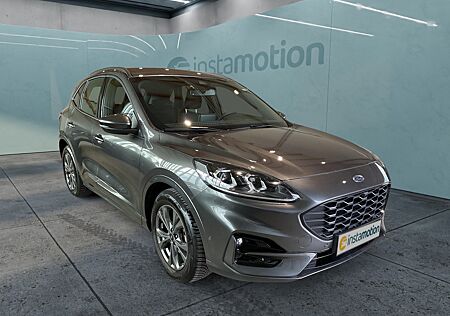 Ford Kuga ST-Line leichter Hagelschaden Bluetooth Navi