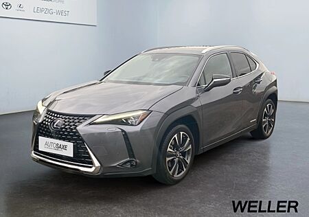 Lexus UX 250h Luxury Line *LED*AHK*ACC*Leder*360°*HUD*