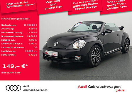 VW Beetle Cabrio Allstar