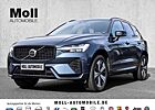 Volvo XC 60 XC60 Plus Dark Recharge Plug-In Hybrid AWD T6 Twin Engine EU6d Allrad StandHZG digitales Cockpit