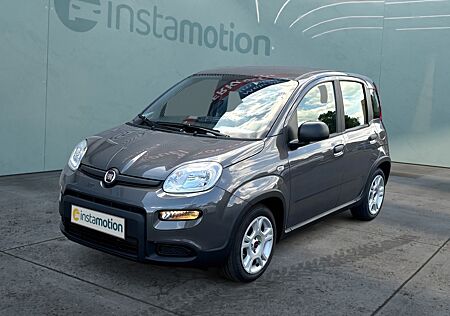 Fiat Panda Mild Hybrid 1.0 GSE Komfort-Paket