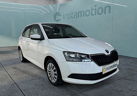 Skoda Fabia Active 1.0 MPI Klima Freisprech PDC