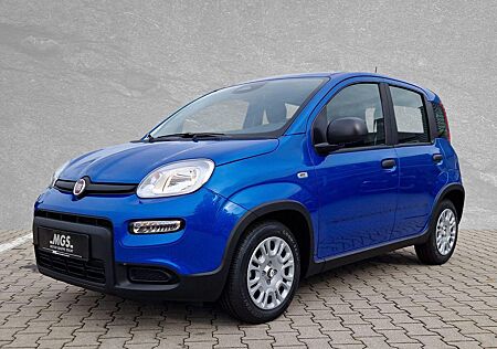 Fiat Panda #S&S #PDC #KLIMA #BT #TEMPOMAT