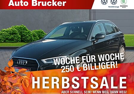 Audi A3 Sportback 1.6 TDI+Anhängerkupplung+Sitzheizung+Park Distance Control