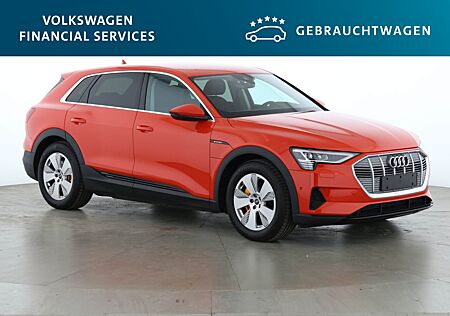 Audi e-tron Basis quattro 50 230kW 1-Gang Automatik 4 Türen