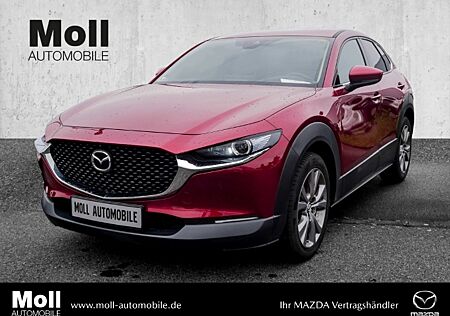 Mazda CX-30 SKYACTIV-G 150PS M-Hybrid 6GS SELECTION DES-P PRE-P