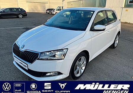 Skoda Fabia 1,0 TSI Cool Plus Alu|PDC|NSW|Sitzheizung Cool Plus