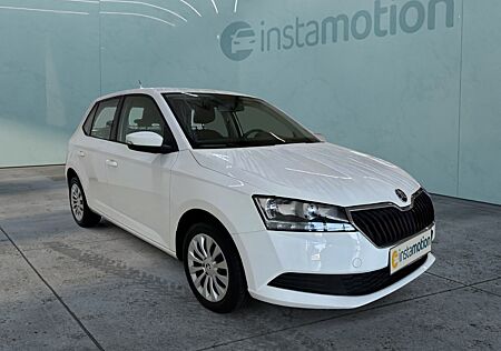 Skoda Fabia Active 1.0 MPI Klima PDC Freisprech SHZ