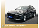 Ford Kuga 2.0 EcoBlue Aut.ST-LINE X*inkl.Winterräder*