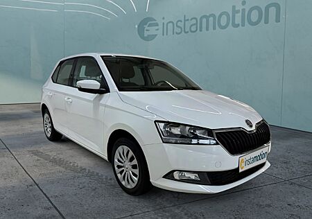 Skoda Fabia Active 1.0 MPI PDC Freisprech Klima HU/AU Neu