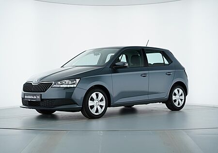 Skoda Fabia COOL PLUS 95PS SITZ-HZ+MULTI-LENKRAD+KLIMA