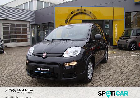 Fiat Panda Pandina MJ24 - KLIMA/DAB+/BLUETOOTH/PDC