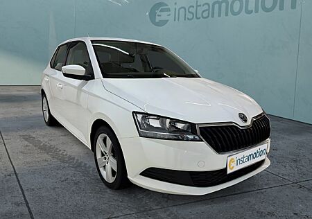 Skoda Fabia Active 1.0 MPI Klima Freisprech PDC