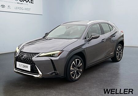 Lexus UX 250h Luxury Line *360*HUD*Pano*Standhz*Navi*