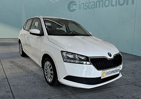 Skoda Fabia Active 1.0 MPI PDC Klima SHZ Freisprech