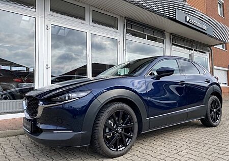 Mazda CX-30 150PS Selection+DES-P+PRE-P *360°*MatrixLED*BOSE