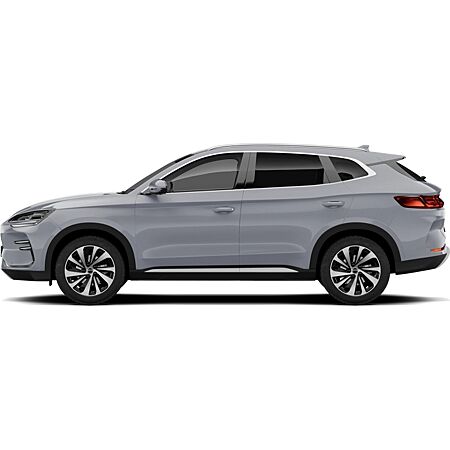 BYD Andere leasen