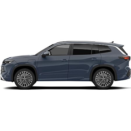 VW Tayron leasen