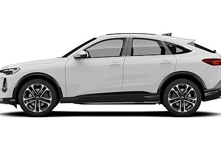 Audi RS7 Sportback SQ5 Sportback SQ5 TDI tiptronic quattro 5 Türen
