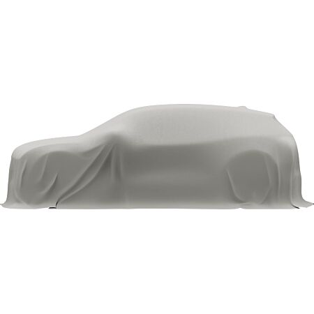BYD Andere leasen