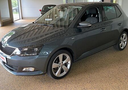 Skoda Fabia 1.0 TSI Clever