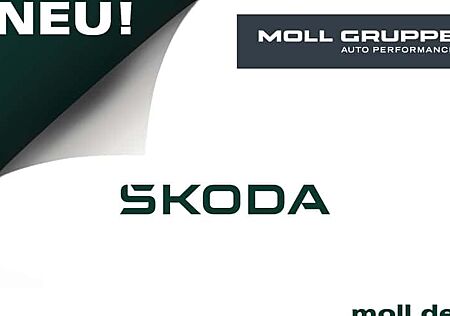 Skoda Enyaq 85 5 Türen
