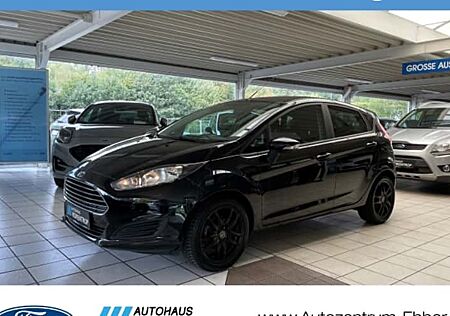 Ford Fiesta 1,25 60kW Trend 5 Türen