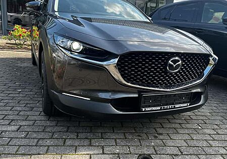 Mazda CX-30 e-SKYACTIV X M-Hybrid 186 Homura AT 5 Türen