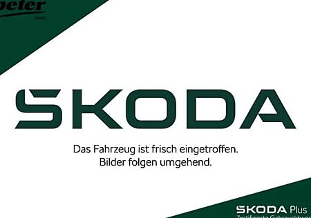 Skoda Kamiq 1.0 TSI DSG 85kW MONTE CARLO 5 Türen