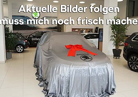 Skoda Elroq 85 First Edition 5 Türen