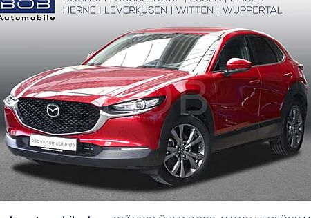 Renault Captur TCe 115 Techno 5 Türen