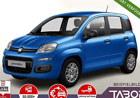 Fiat Panda 1.0 GSE Hybrid Pop 5 Türen