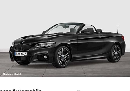 BMW 2er 220i Steptronic Cabrio M Sport 2 Türen