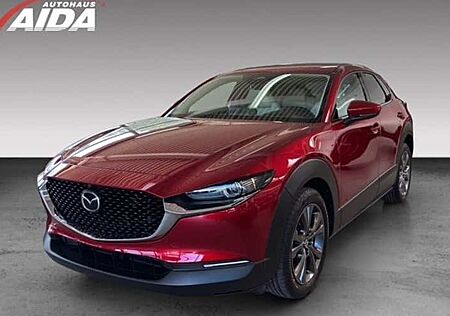 Mazda CX-30 e-SKYACTIV X M-Hybrid 186 Takumi AT 5 Türen