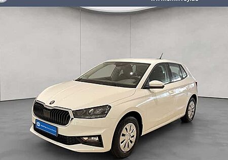Skoda Fabia 1.0l TSI 85kW DSG Selection 5 Türen