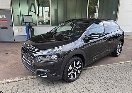 Citroën C4 Cactus PureTech 110 S&S Shine EAT6 5 Türen